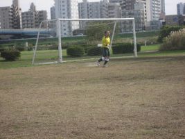 ���W�F���h