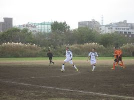 ���W�F���h