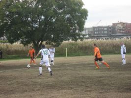 ���W�F���h